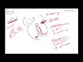 Atrioventricular re-entrant tachycardia - Dr Jamal - ECG Lectures