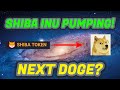 Shiba Inu Coin Kaufen