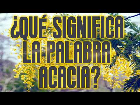 Vídeo: Acacia Blanca: Propiedades Medicinales De La Acacia Blanca. Recetas De Tratamiento De Acacia Blanca