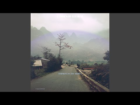 Wombat's Joyful Interlude (Original)