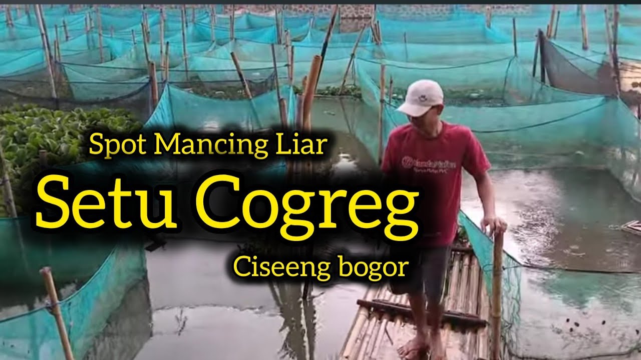 SPOT MANCING LIAR SETU  COGREG CISEENG BOGOR