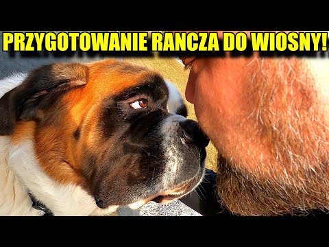 Wideo: Jakie główne reformy promował Michaił Gorbaczow?