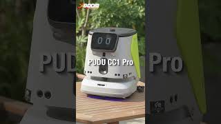 CC1 Pudu Pro VS MT 1 Max