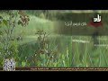 البث المباشر لقناة زاد الفضائية ZAD TV Channel Live 
