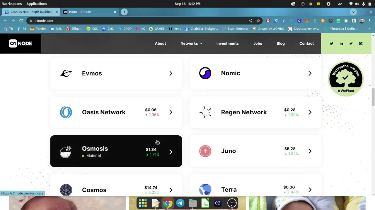 How to stake coins in ATOM ? 