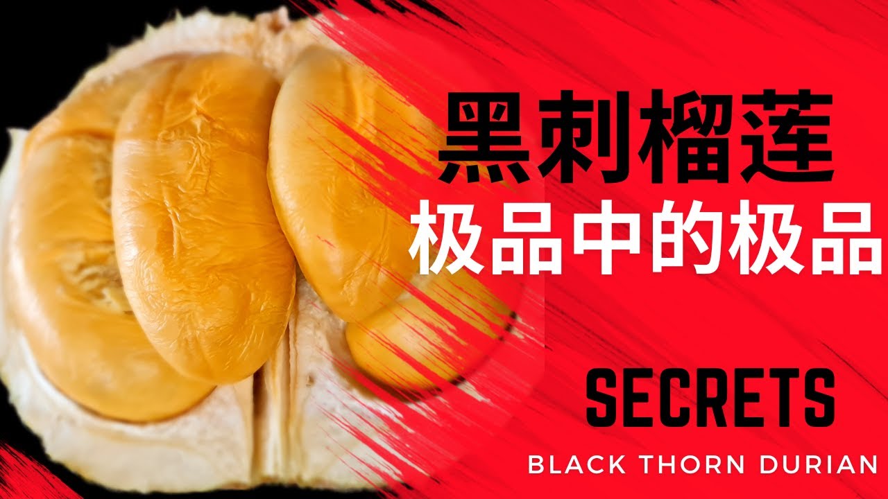 非一般的黑刺榴莲，绝世美味大开眼界. (English Subtitle)