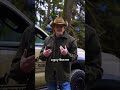 The Original Fire Reflector Explained