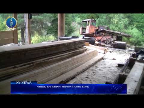 დაკავება ხე - ბუჩქნარის უკანონოდ გაჩეხვის ბრალდებით 12.10.2017