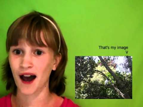 Green Screening For Free  Tutorial in Windows Movie Maker Vista