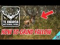 How to do a great one fallow grind  the hunter call of the wild