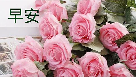 早安 - 天天要闻