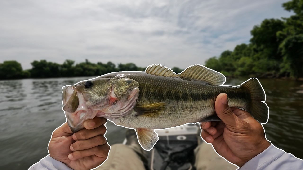 Kayak Bass Fishing in the James River Downtown RVA