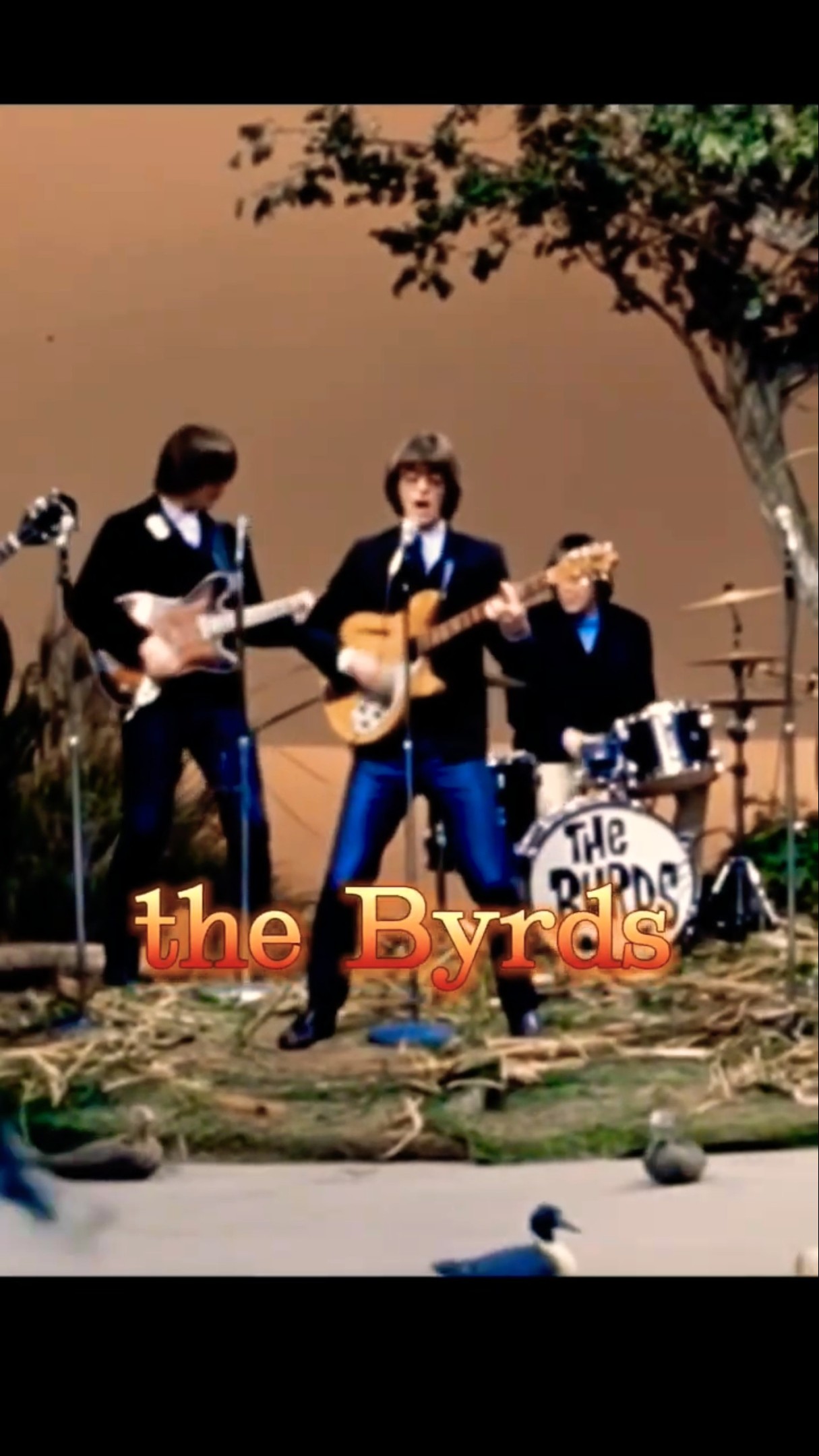 ミスター・タンブリンマン／ザ・バーズ Mr. Tambourine Man／The Byrds