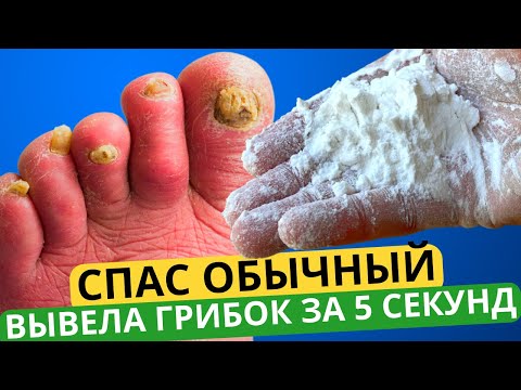 Видео: Как подготовить личное заявление: 11 шагов (с иллюстрациями)