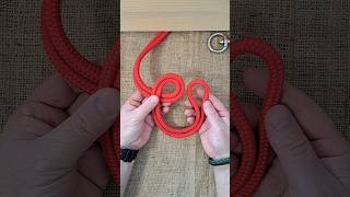 Learn Bowline on a Bight #knot #shorts #bowline