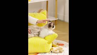 LINSY Lovely Pet Chair Cat Sofa Chair | 2022 Newest Chair LINSY Lovely Pet Chair Cat Sofa Chair | 2022 Newest Chair