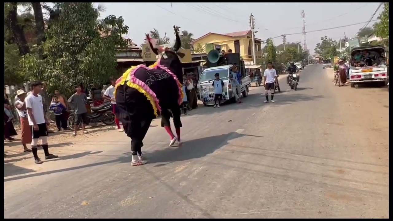 Traditional buffalo dance ရိုးရာဓလေ့ ကျွဲအက  (၃)