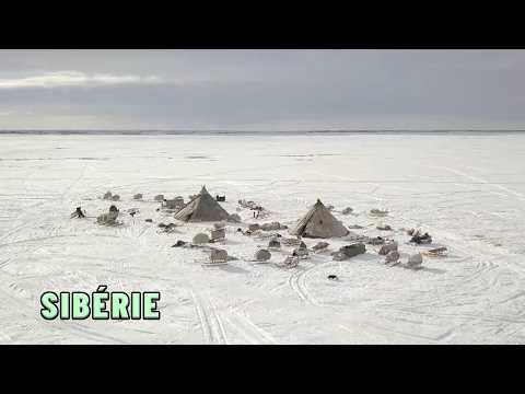 INDIGENOUS PEOPLES: Siberia—The Nenets Tundra