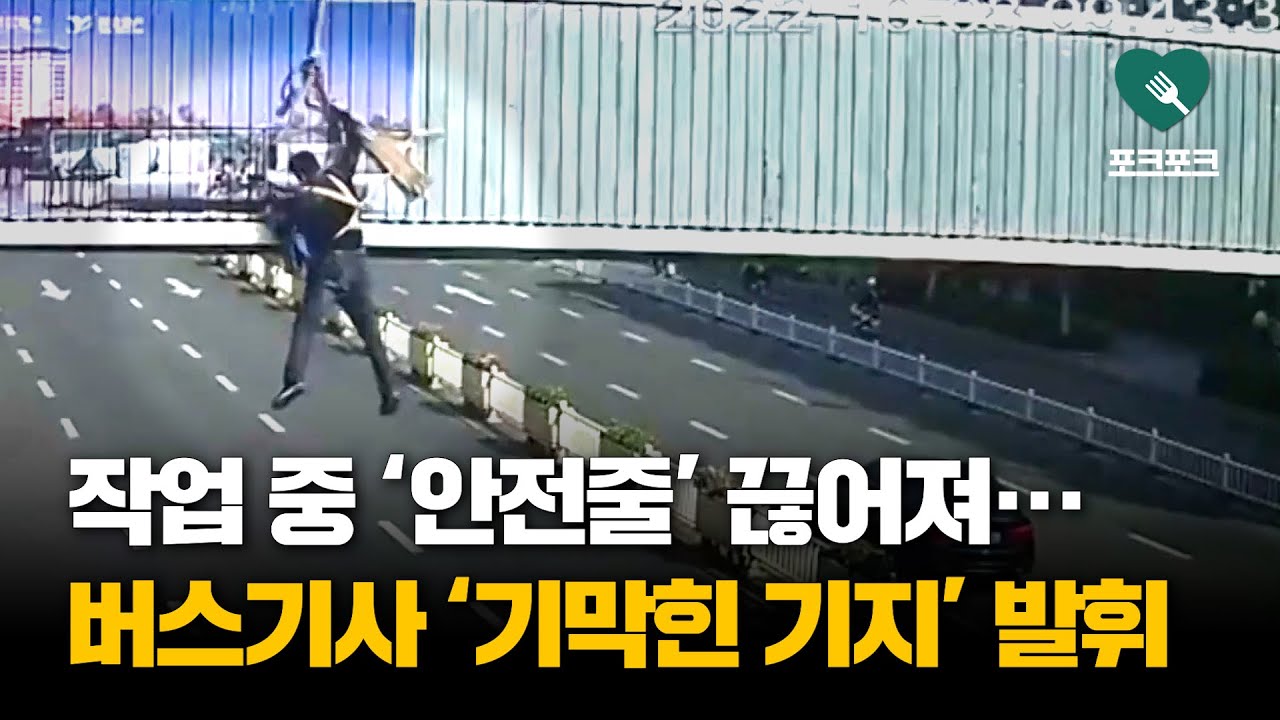 작업 중 '안전줄' 끊어져···지나가던 버스기사 '기지' 발휘