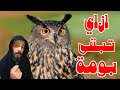 الحياة من وجهة نظر البومة 