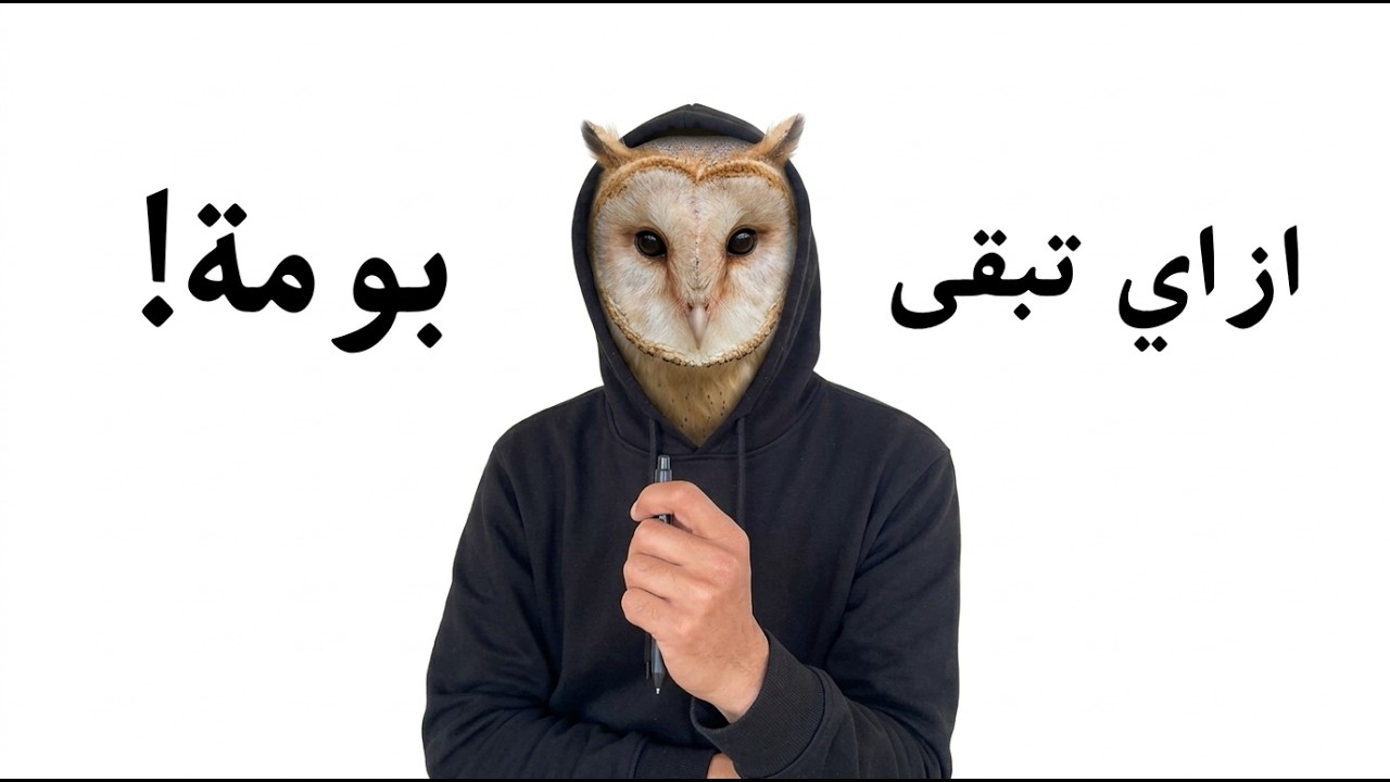 الحياة من وجهة نظر البومة
