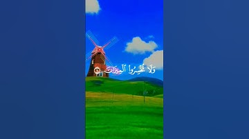 الرحمن علم القرآن خلق الإنسان علمه البيان الشيخ ماهر المعيقلي يبدع بصوت مؤثر تلاوة خاشعة #قرآن
