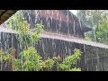 Beautiful tropical  rain, such relaxing ,calming, reducing stress, healing | Rain Best Relaxation