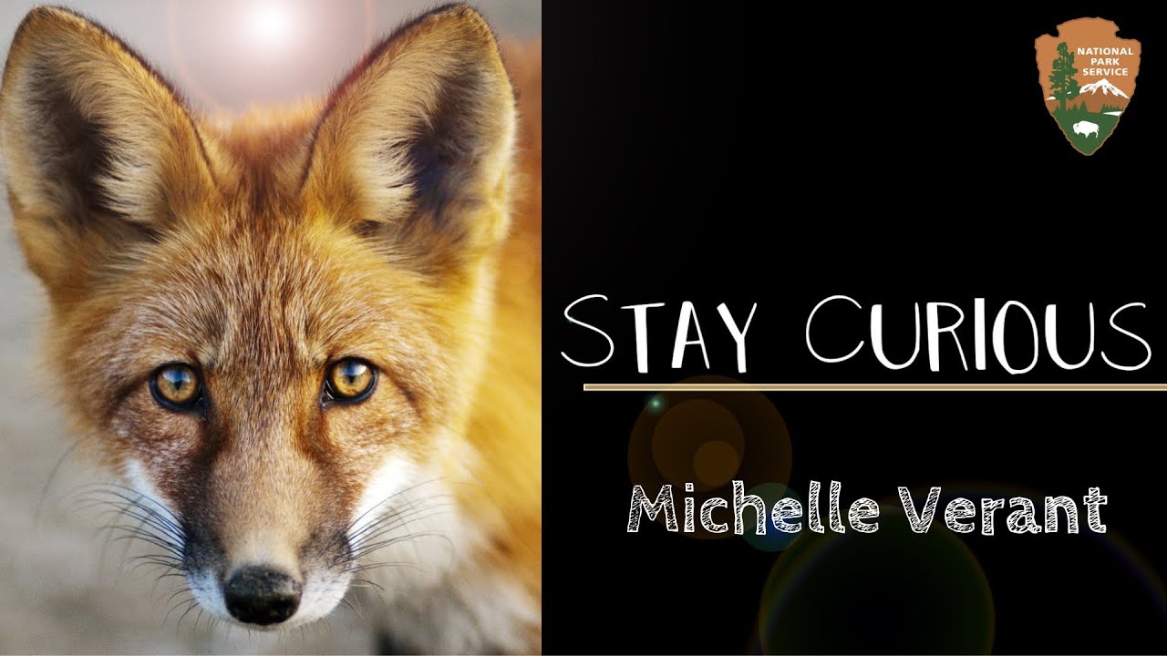 wildlife veterinarian requirements Stay Curious: Michelle Verant