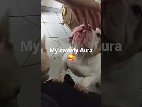 Video: Sarja 