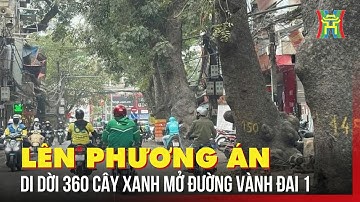 Lên phương án di dời 360 cây xanh mở đường Vành đai 1 | Tin tức