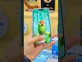 Tecno Camon 50 New Color #gadgets #viral #trending #smartphone #youtubeshorts #gadgetupdate