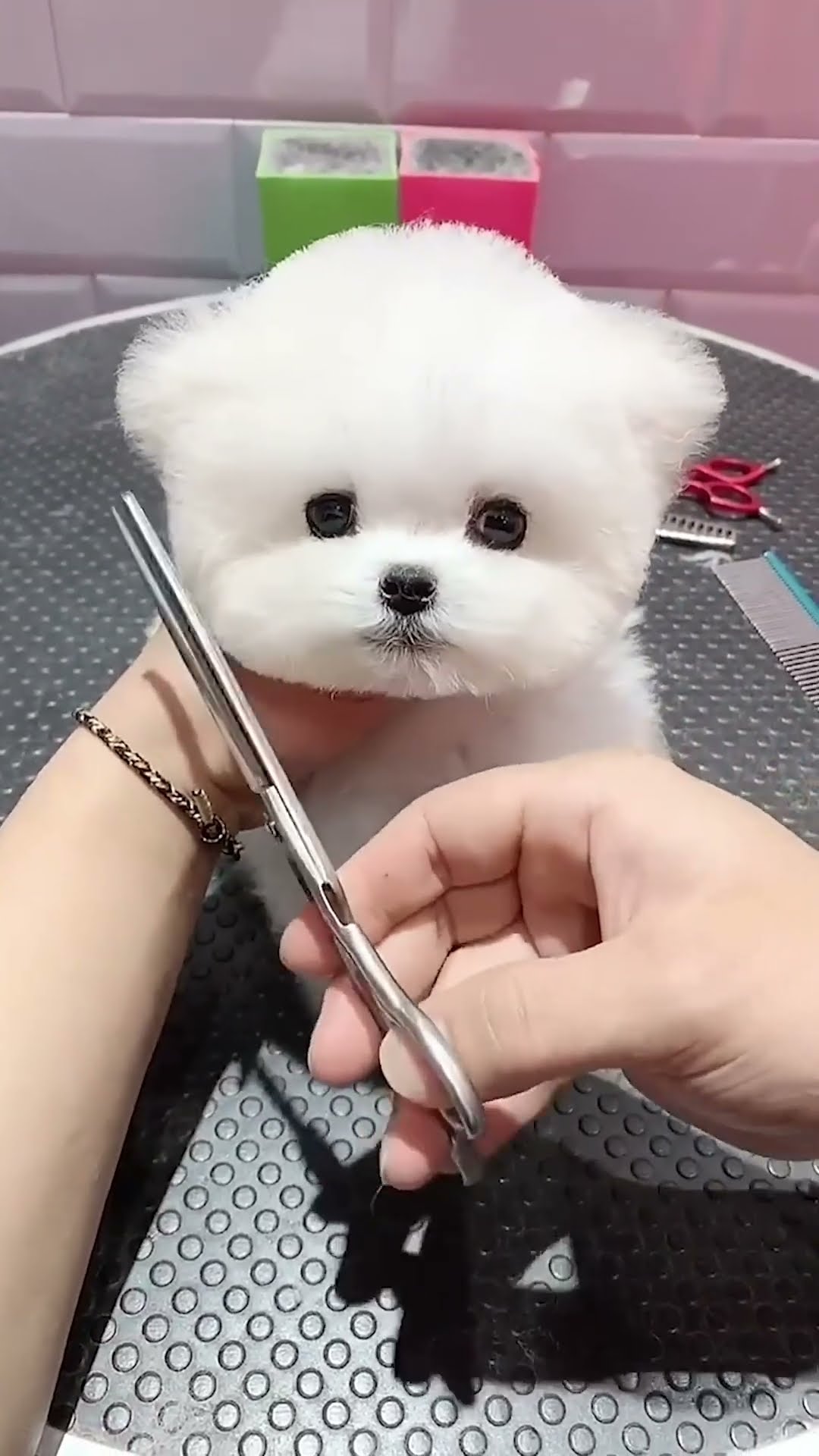 ?✂️