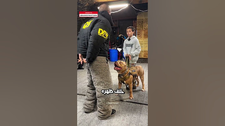 كلب مدرب في مواجهة الخطر ⚠️