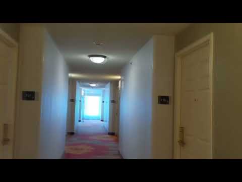 Hilton Garden Inn Orlando at SeaWorld