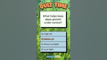 Control Algae Growth in Hydroponics 🌿 #hydroponicway #hydroponics #shorts #quiz #quiztime