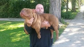R.i.p Hooch Born 5-28-12 8-6-22 You Did Good Ol Man Damn Good Im Gonna Miss You So Much My Friend