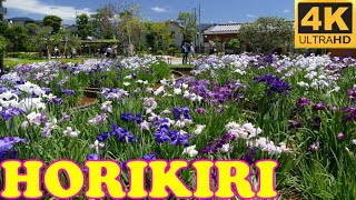 Horikiri Iris Garden, Tokyo in 4K - 堀切菖蒲園●東京 - Japan As It Truly Is