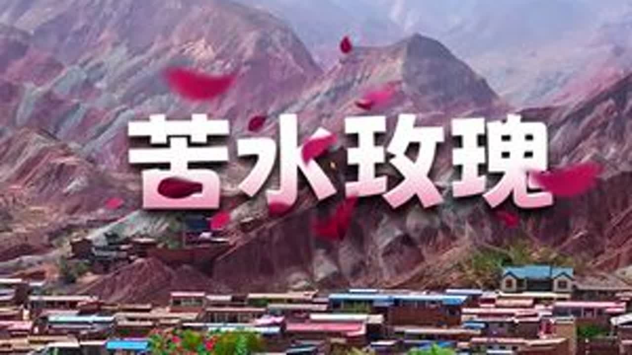 苦水玫瑰 苦水的玫瑰，因味道而命名。#苦水玫瑰 #花开富贵好运来 #玫瑰精油 #兰州 #美好的一天又开始了