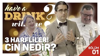 3 Harflilerden Gin Nedir? Have A Drink With Me? - Neşri Murat Bingöl