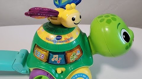 Інтерактивна іграшка каталка черепаха 2 в 1 VTech 2-in-1 Toddle and Talk Turtle