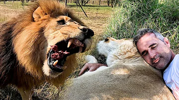 LION CHALLENGE Does Not Go to Plan | The Lion Whisperer