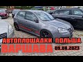 Автоплощадки Польша. Варшава 09.08.2023 поиск авто и подбор авто #варшава, #подборавто