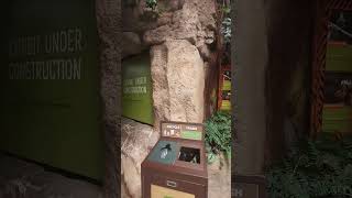 Exploring the trees in the Omaha zoo #video #videoshorts #shorts