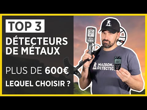 Détecteur de métaux Or professionnel haute précision IP68 40cm on Gens de  Confiance