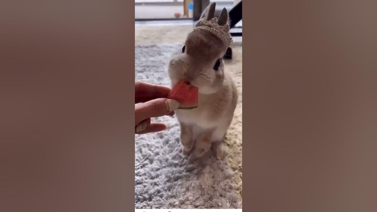 Mimimi 😍 - YouTube