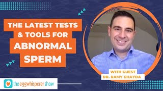 Sperm DNA Fragmentation Testing: The Latest Tests for Abnormal Sperm with guest Dr Ramy Ghayda