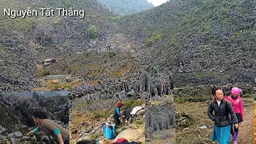 Cánh đồng đá tai mèo Mùa Giáp Hạt. Nguyễn Tất Thắng