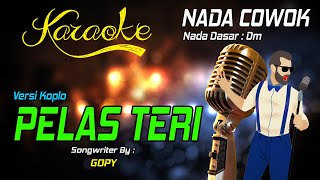 Karaoke PELAS TERI - Gopy ( Nada Cowok )