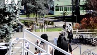 About the VIU Bookstore