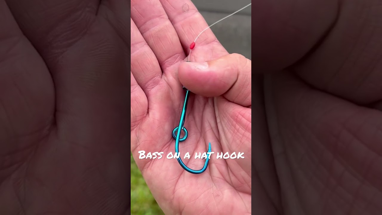 Catching bass with my hat hook!!! 